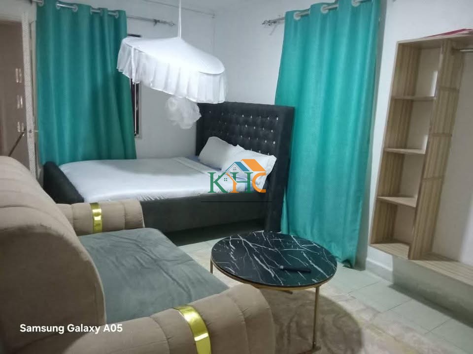Furnished 1 bedroom Kisumu
